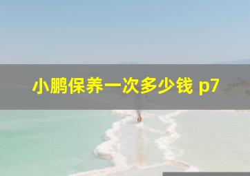 小鹏保养一次多少钱 p7